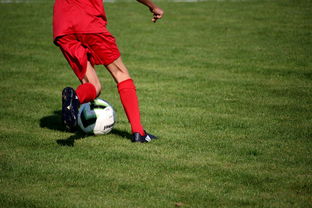 九游网页版官网-中国青少年篮球运动员伤病防控体系建设，青少年篮球训练现状分析