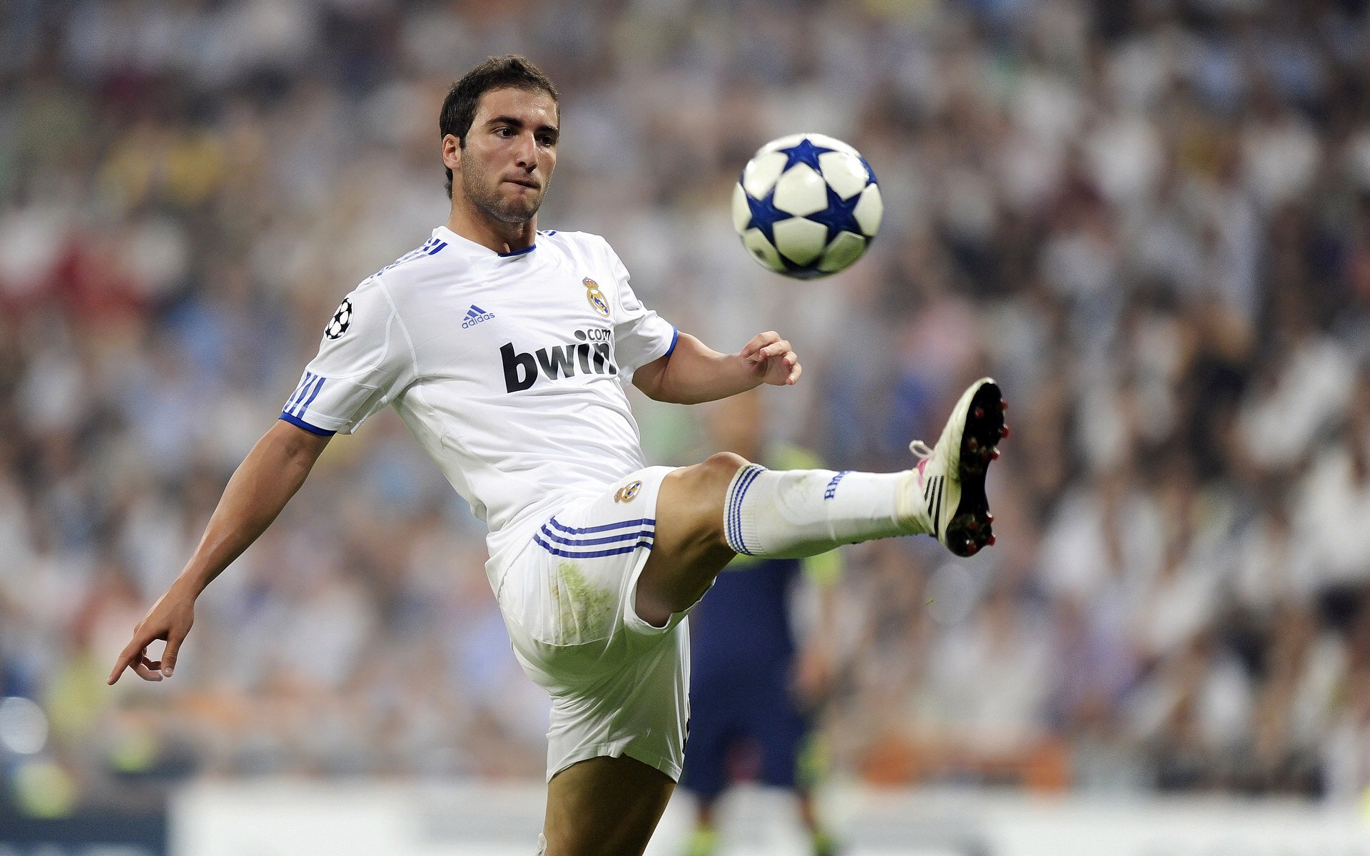 女排世俱杯土耳其俱乐部卫冕成功 联赛整体实力再次证明