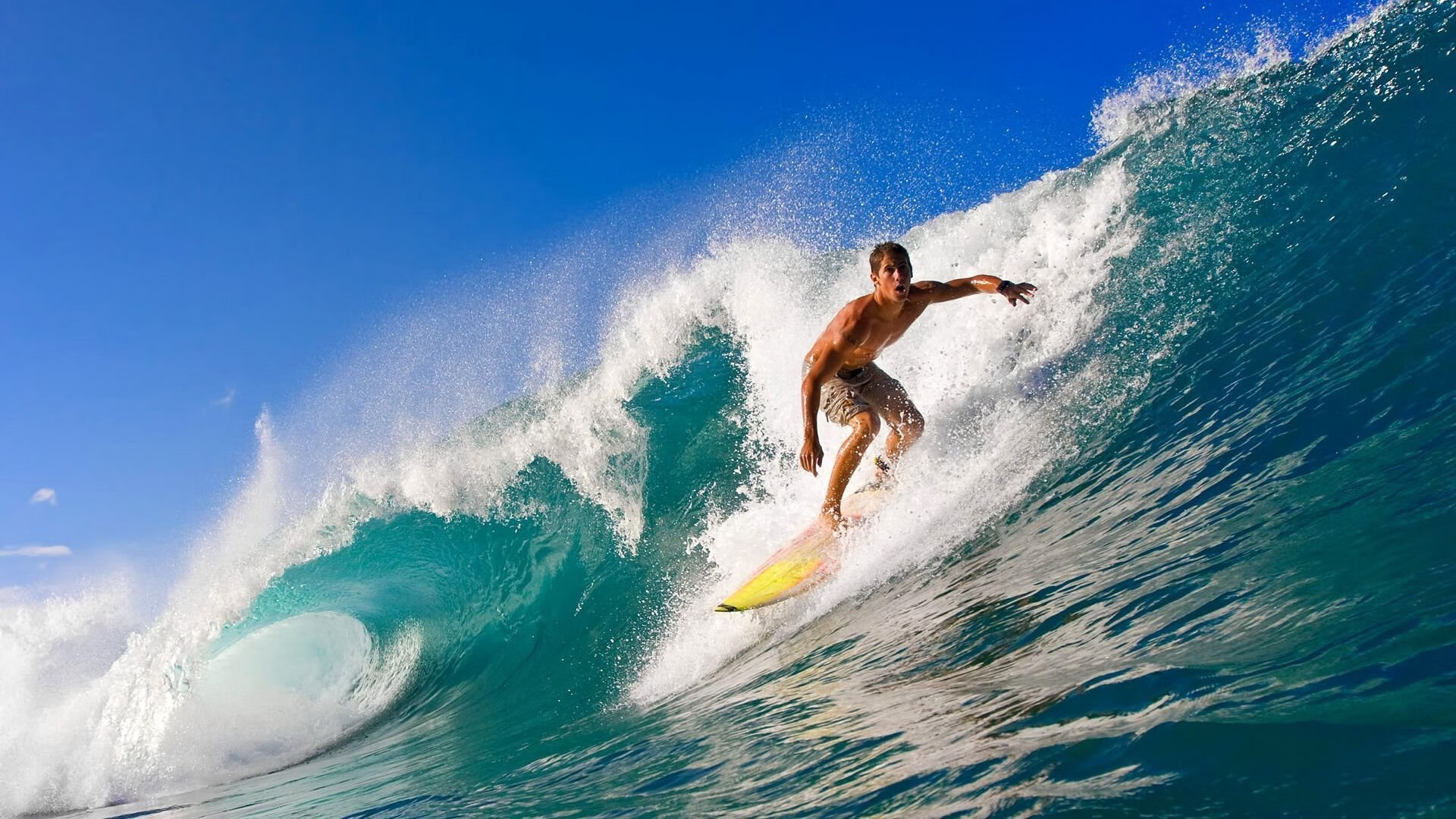 欧冠小组赛：布鲁日门将单场十一次扑救 零封巴萨成最大惊喜